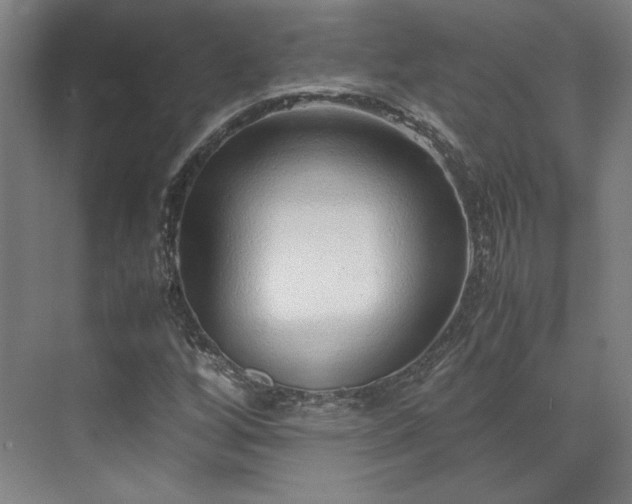 X0000071951256200607141450