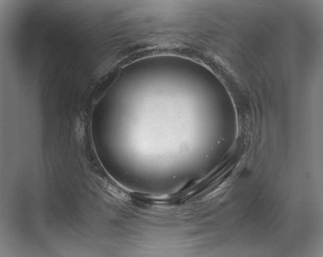 X0000071951257200607141450