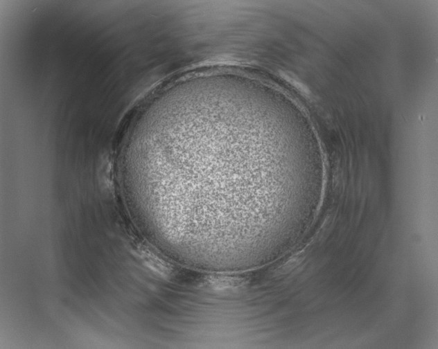 X0000071951258200607141450