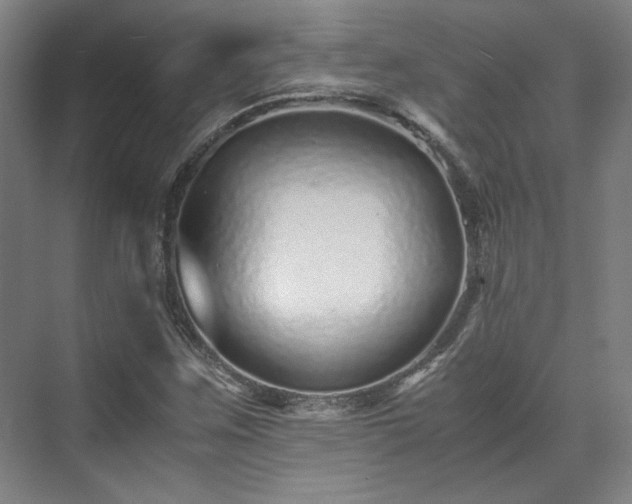 X0000071951259200607141450