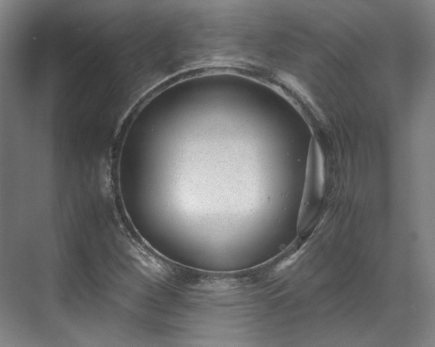 X0000071951260200607141450