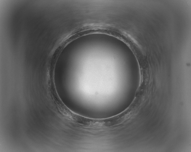 X0000071951261200607141450