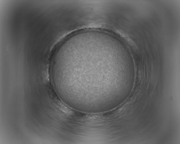 X0000071951262200607141450