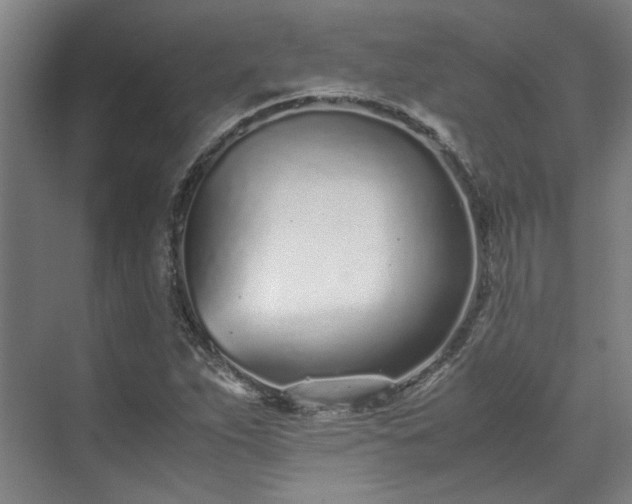 X0000071951263200607141450