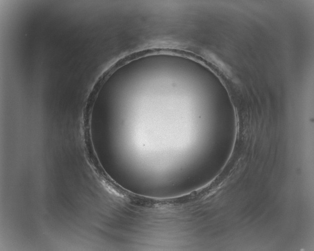 X0000071951264200607141450