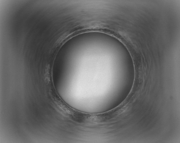 X0000071951265200607141450