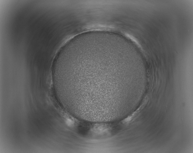 X0000071951267200607141450