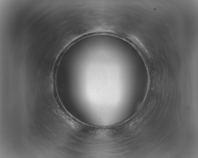 X0000071951268200607141450