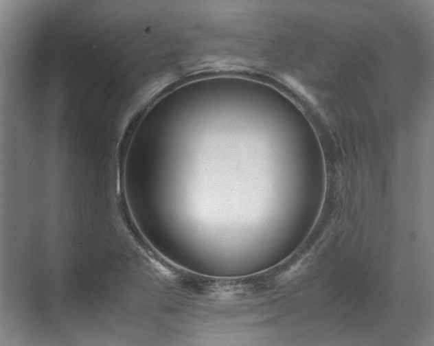 X0000071951269200607141450