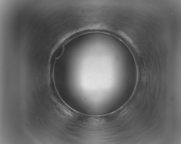 X0000071951270200607141449