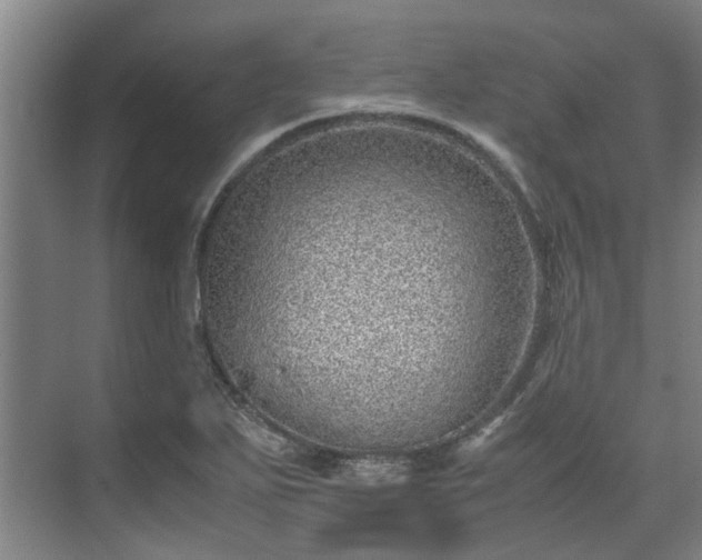 X0000071951271200607141449