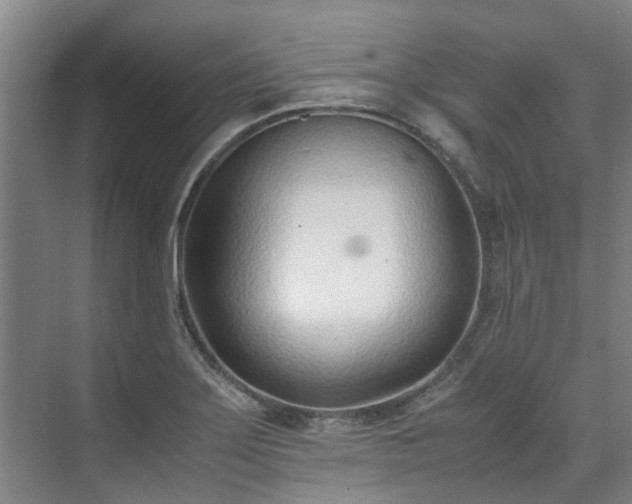 X0000071951275200607141449