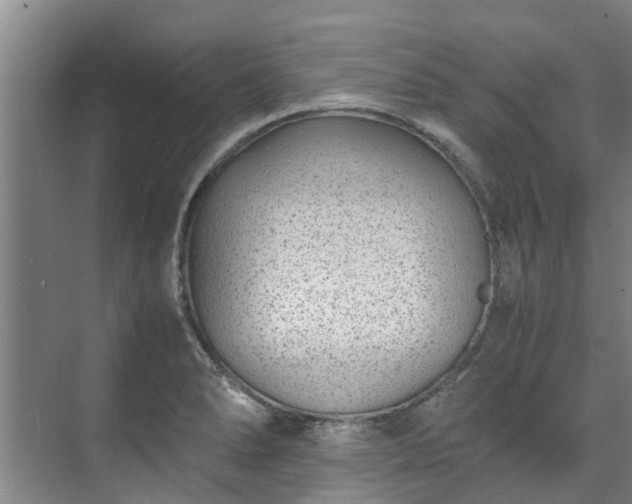 X0000071951278200607141449