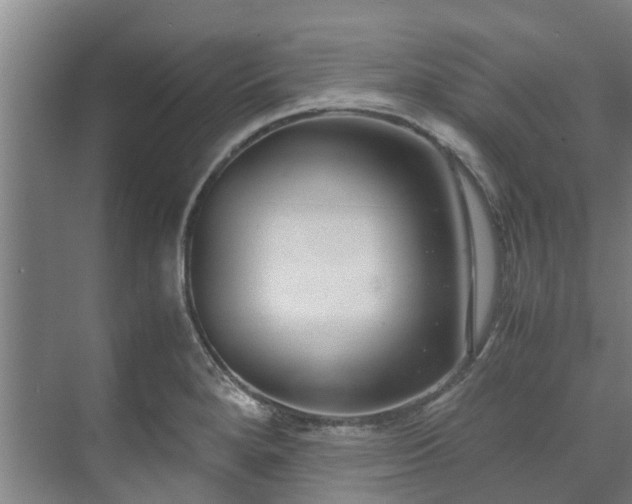 X0000071951280200607141449