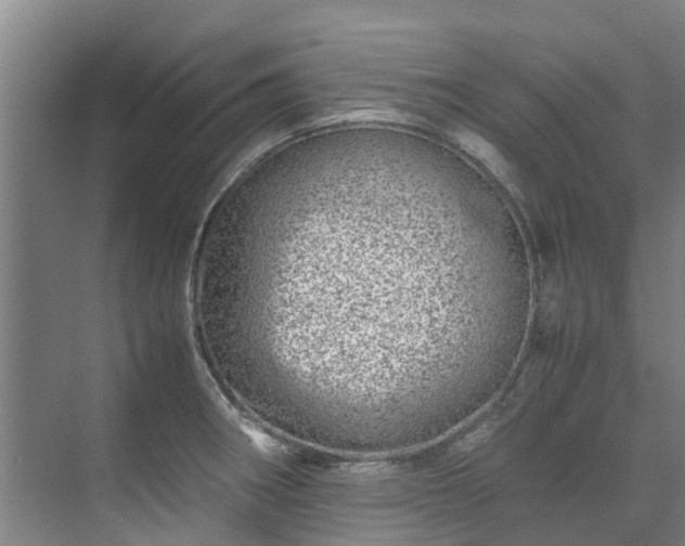 X0000071951282200607141449