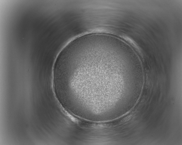 X0000071951286200607141449