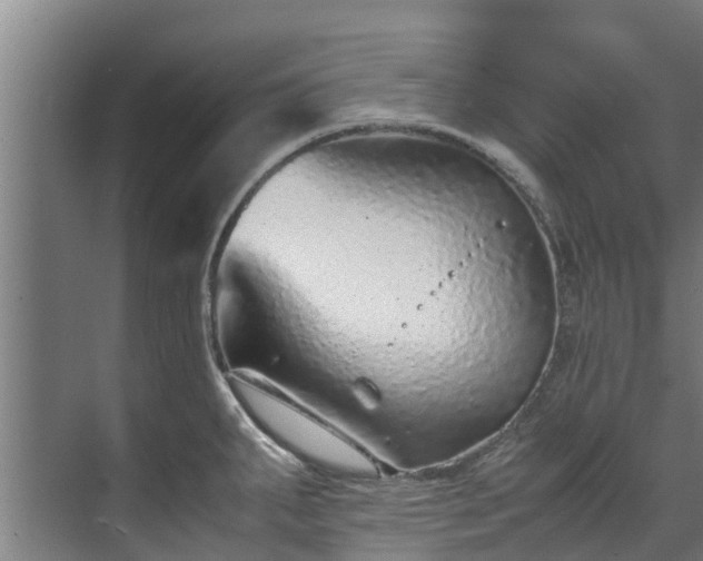 X0000071951287200607141449