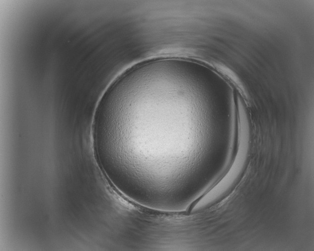 X0000071951288200607141449