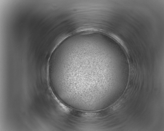 X0000071951290200607141449