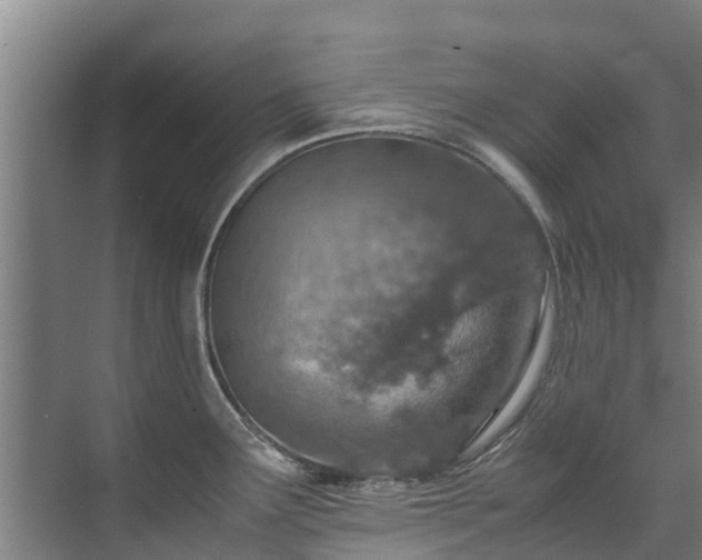 X0000071951291200607141449