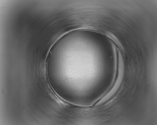 X0000071951292200607141449