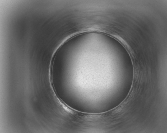 X0000071951294200607141449