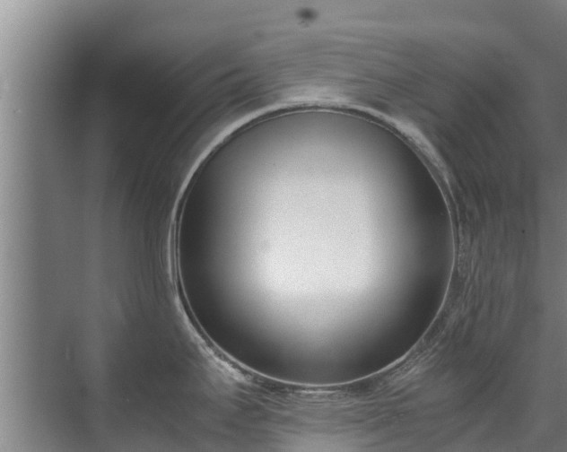 X0000071951295200607141449