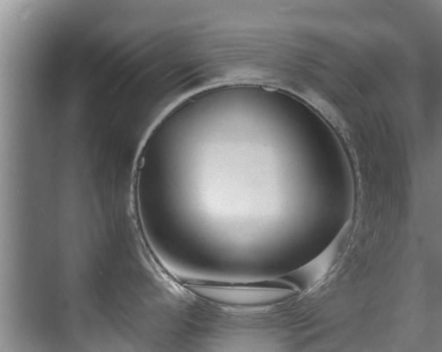 X0000071951296200607141449