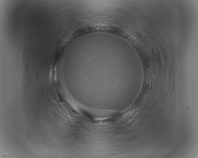 X0000071951298200607141448