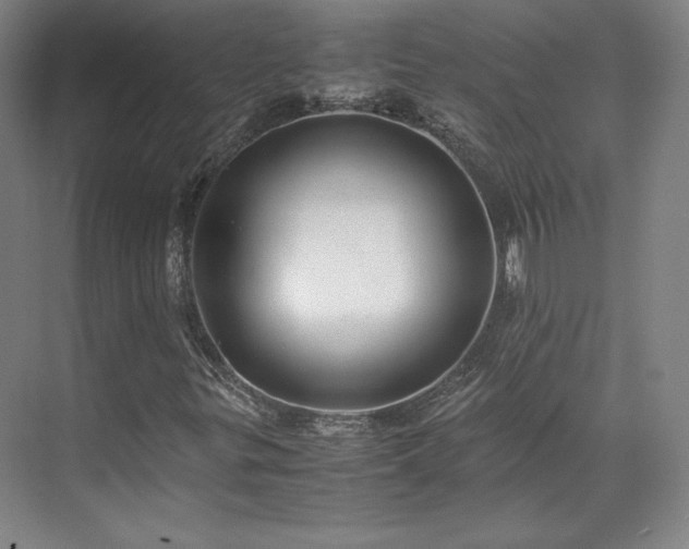 X0000071951299200607141448