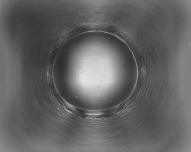 X0000071951300200607141448