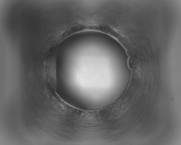 X0000071951301200607141448