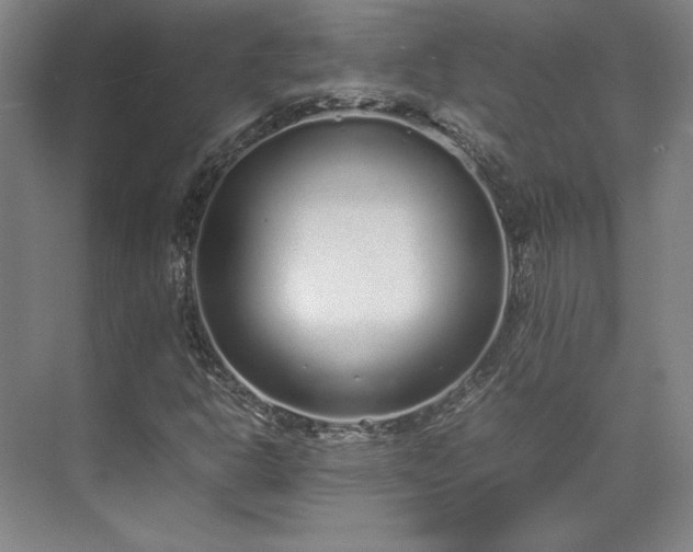 X0000071951302200607141448