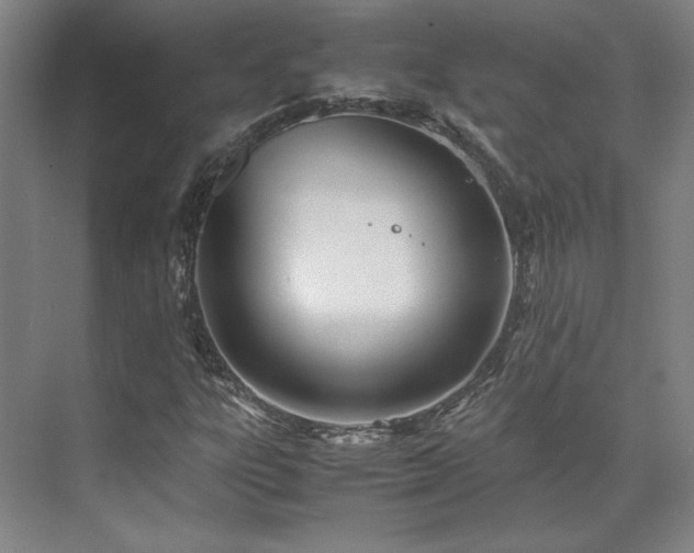 X0000071951303200607141448