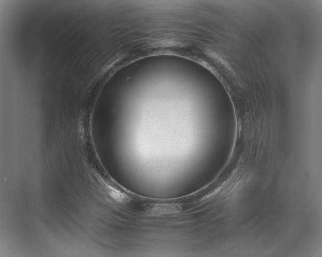 X0000071951305200607141448