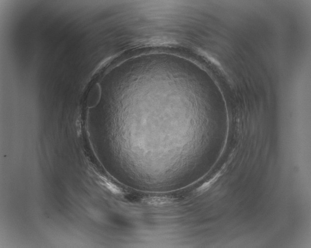 X0000071951306200607141448