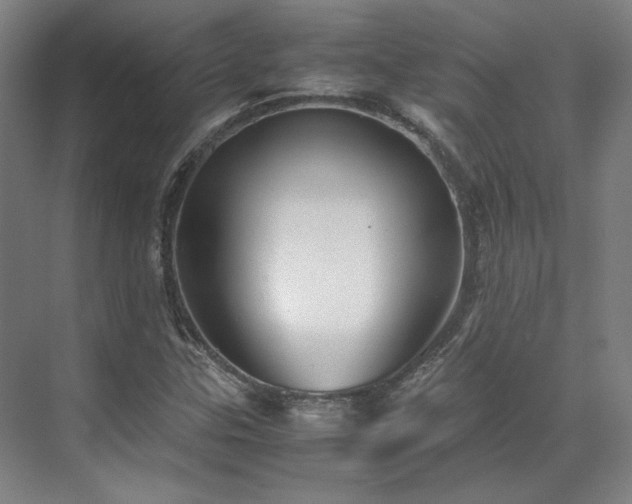 X0000071951307200607141448