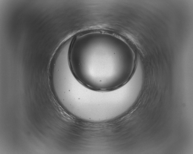 X0000071951308200607141448