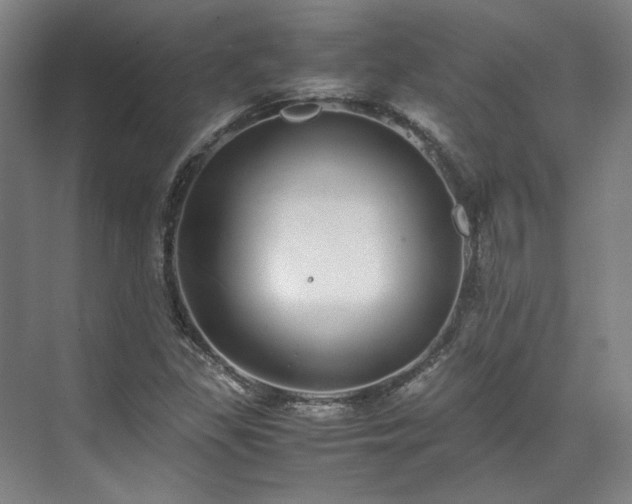 X0000071951309200607141448