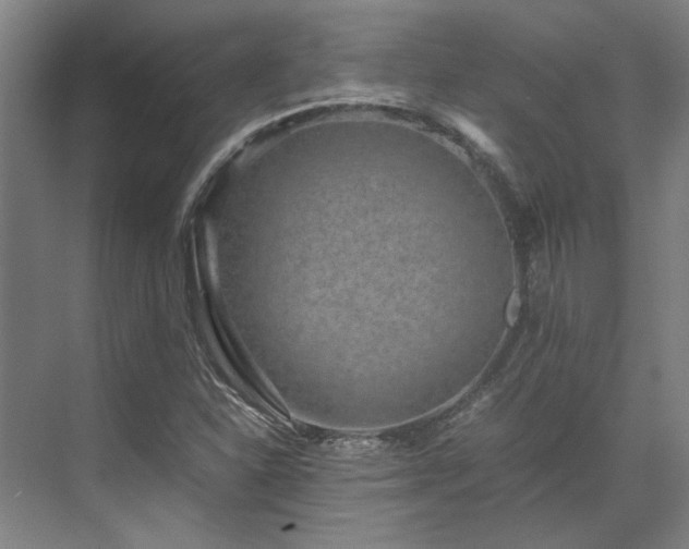 X0000071951310200607141448