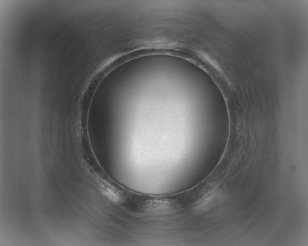 X0000071951315200607141449