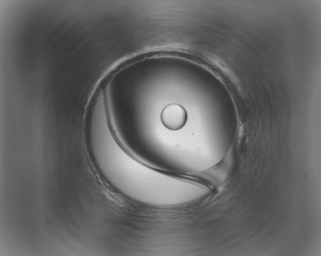 X0000071951316200607141449