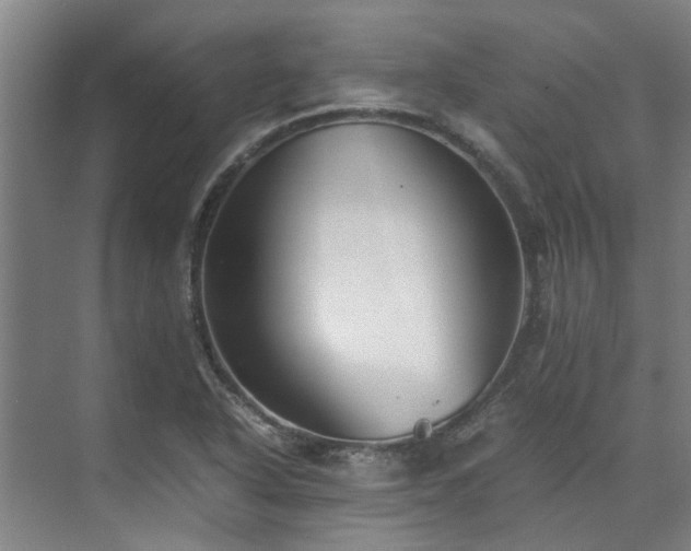 X0000071951318200607141449