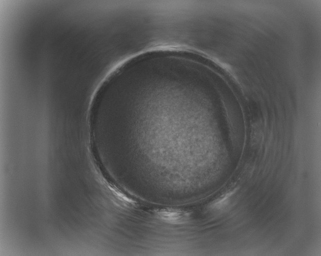 X0000071951319200607141449