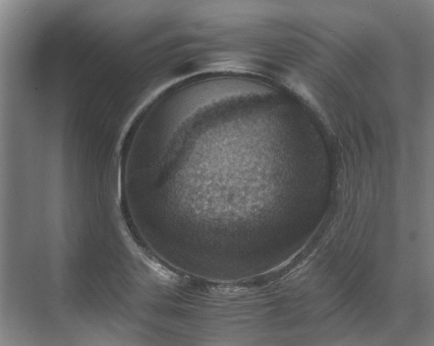 X0000071951323200607141449