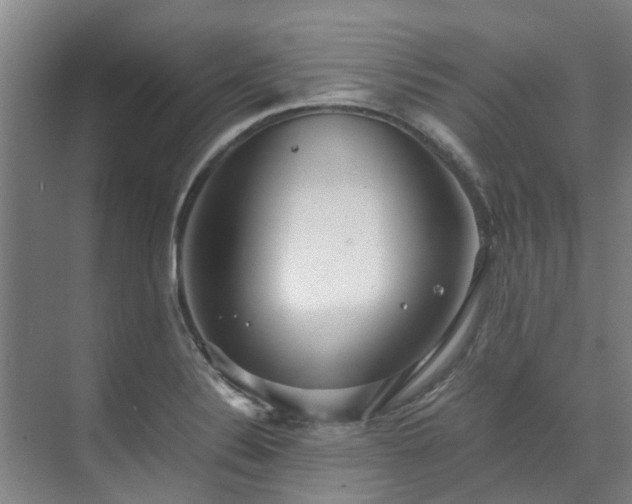 X0000071951324200607141449