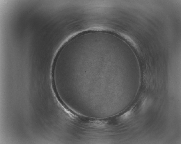 X0000071951327200607141449