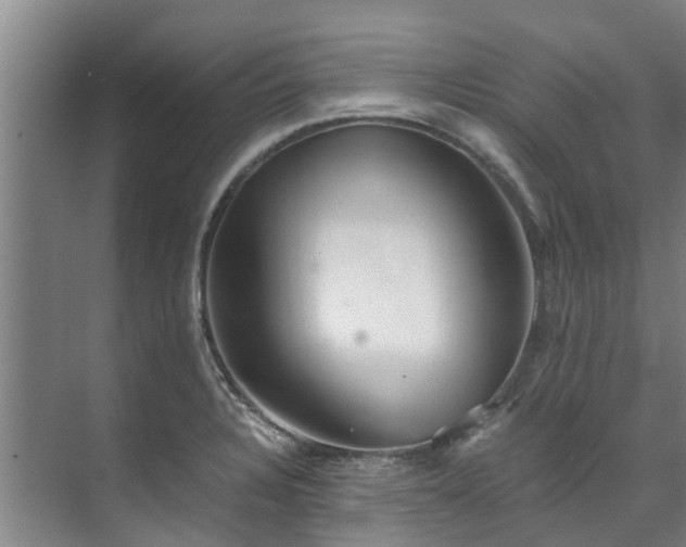 X0000071951328200607141449