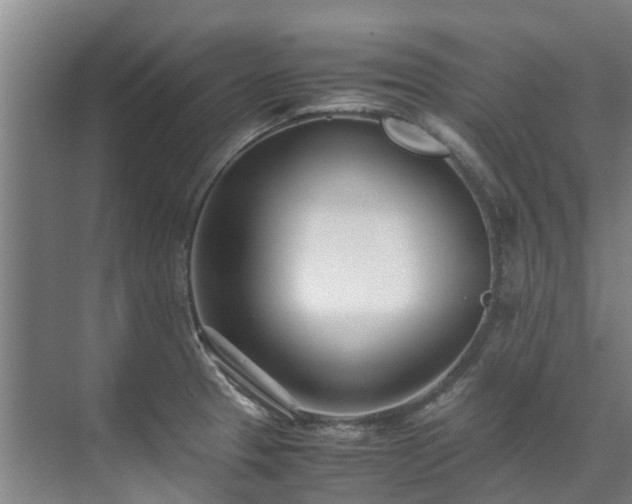 X0000071951329200607141449