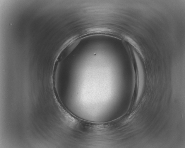 X0000071951330200607141449